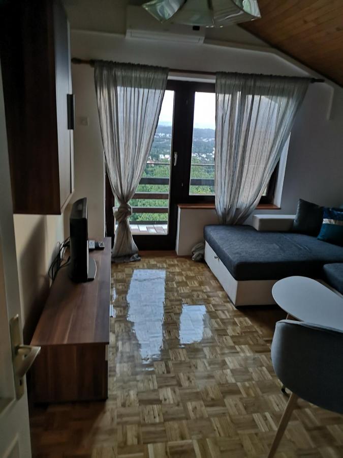 Apartment Gina Opatija Buitenkant foto